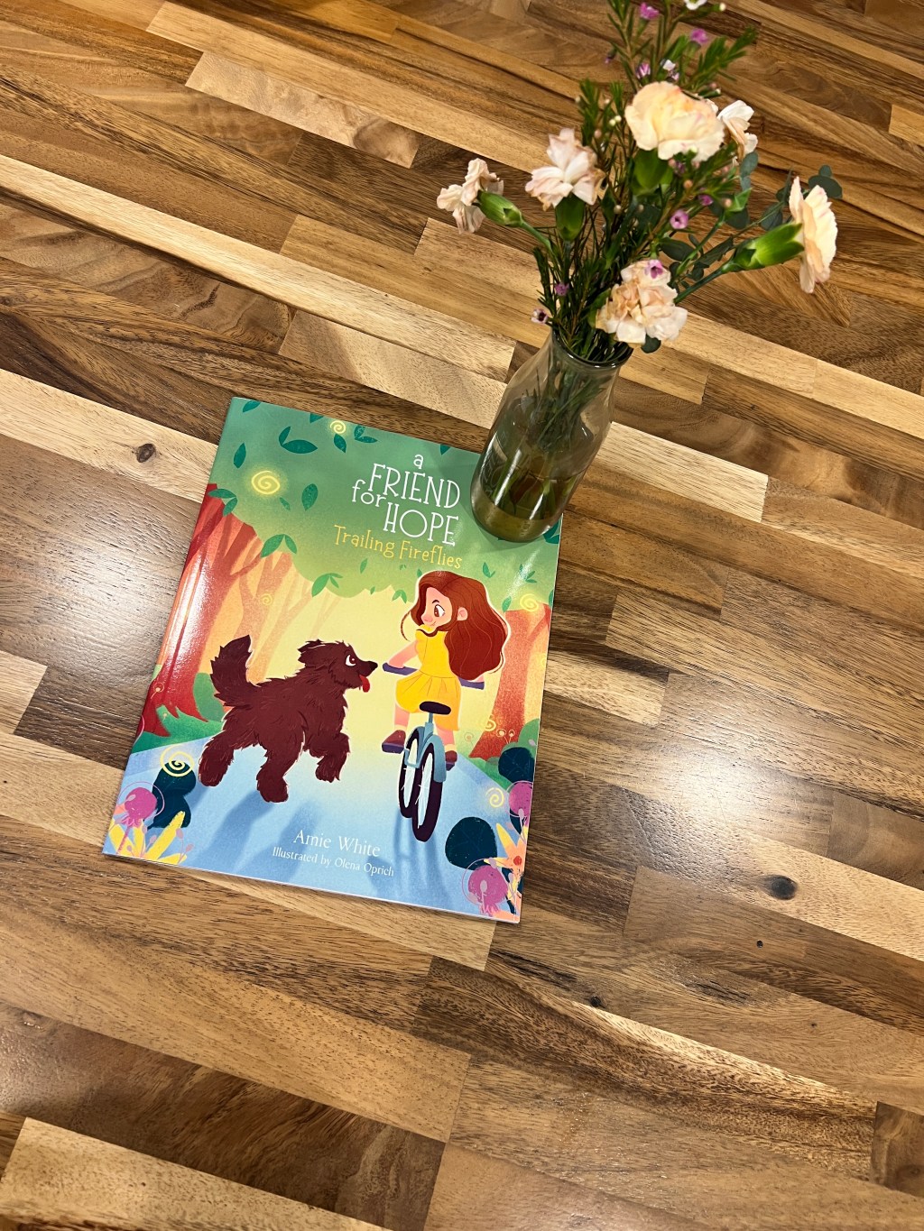 A Friend for Hope: An Uplifting Story for&nbsp;children